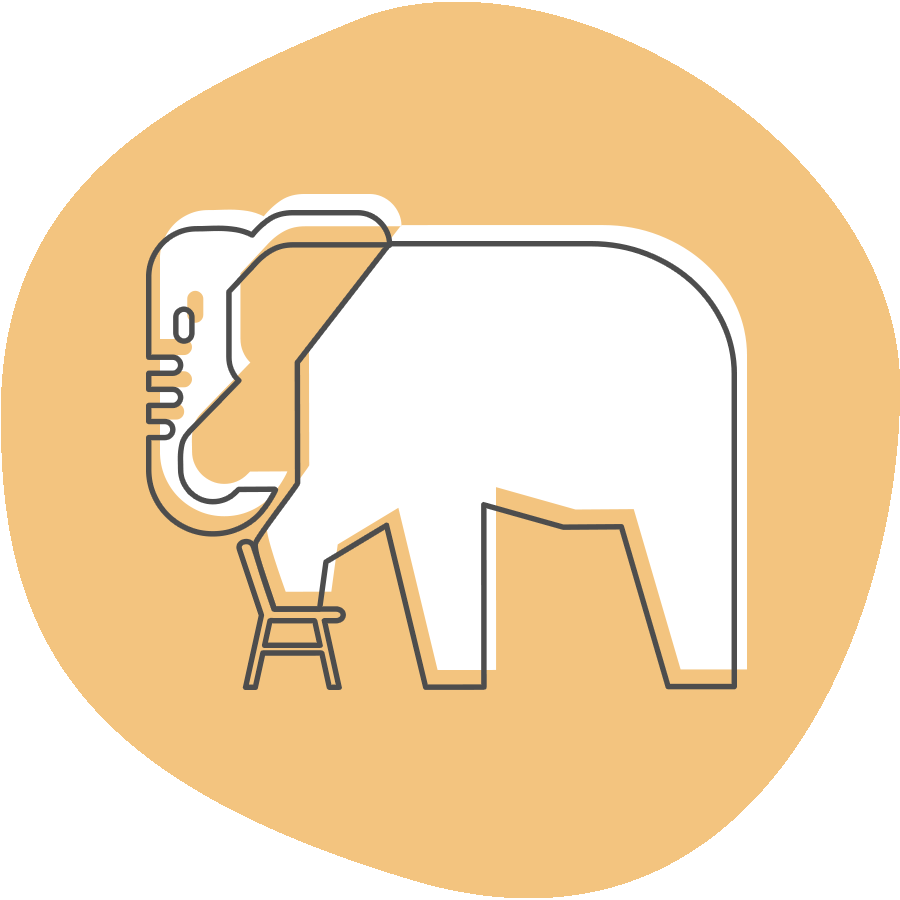 The Elephant in the (Class)room