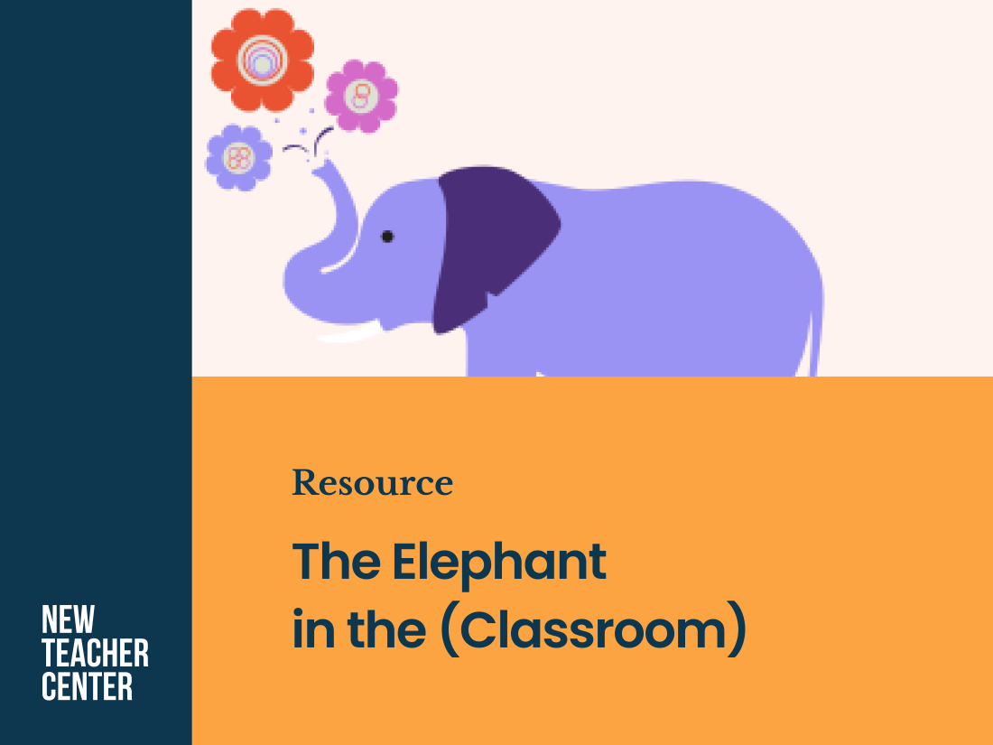 Elephant in the Classroom Cover